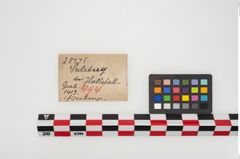 Etikett zu Eisenlanzenspitze (NHMW-PRAE-025175)